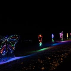 Gallery: Gift of Lights presented by Eastern Propane & Oil