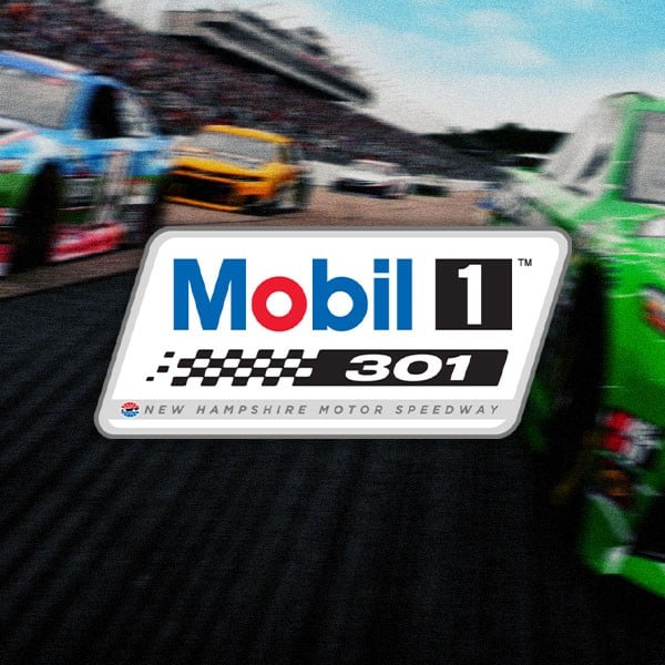 Mobil 1 301